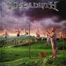 Youthanasia artwork